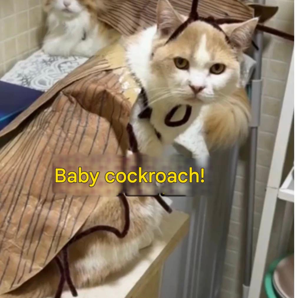 Funny Pet Catroach Costume Outfit