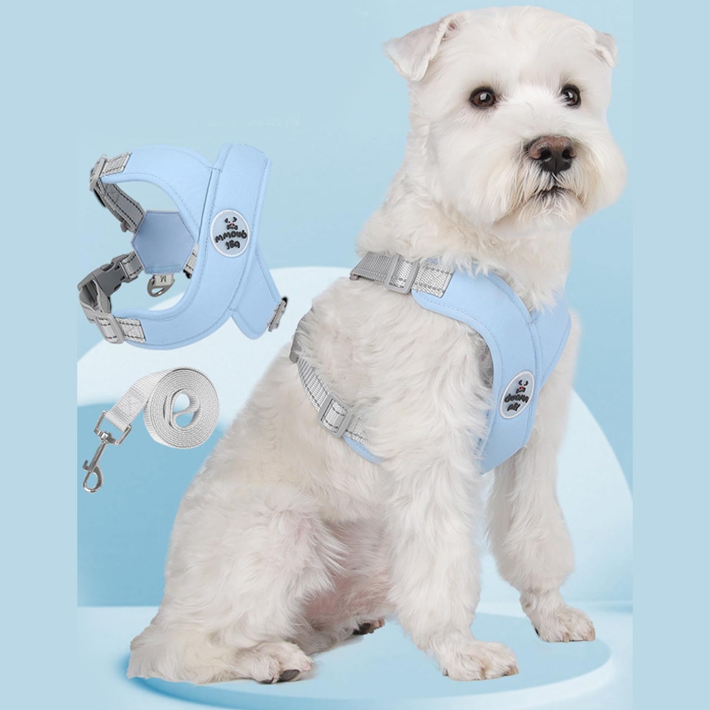 X Shape Breathable Harness Leash Set