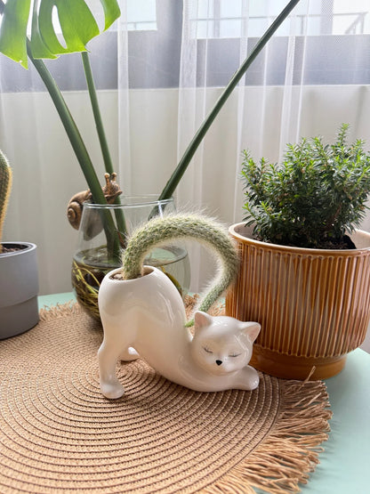 Pretty Kitty Ceramic Pot