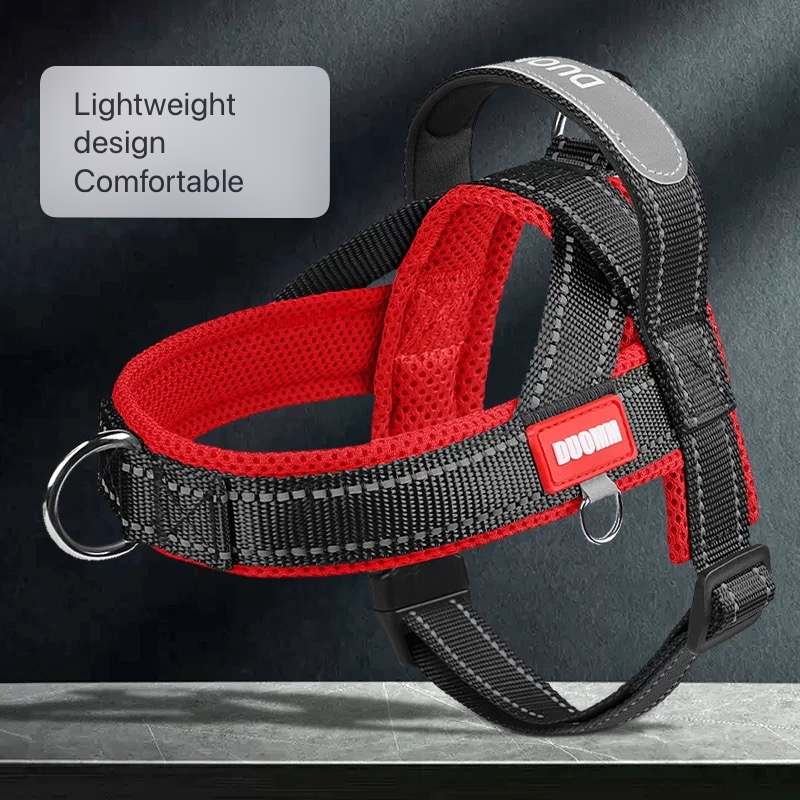 Saddle Dog Harness & Leash Set