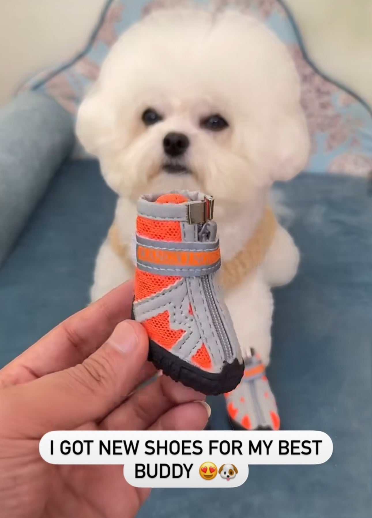 Dog Boots For Hiking and Running - PetsLoveStory®