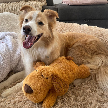 Chip Snuggle Buddy® - PetsLoveStory®