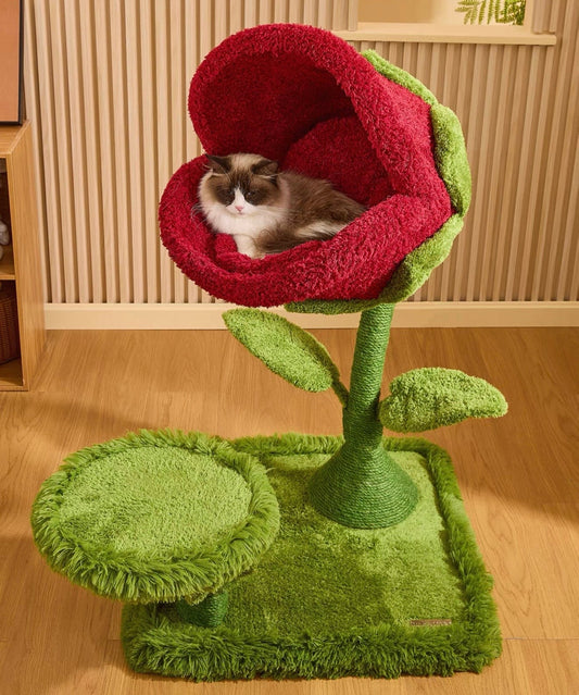 Monster Bloom Cat Tree
Climbing Tower