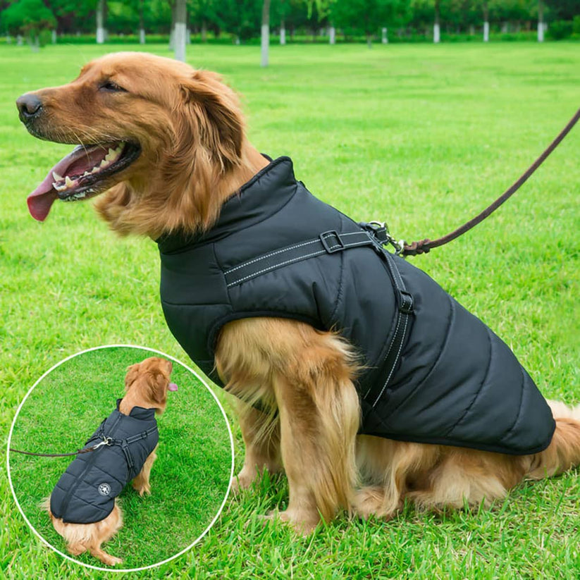 PetsLoveStory® Dog Winter Jacket With Harness - PetsLoveStory®