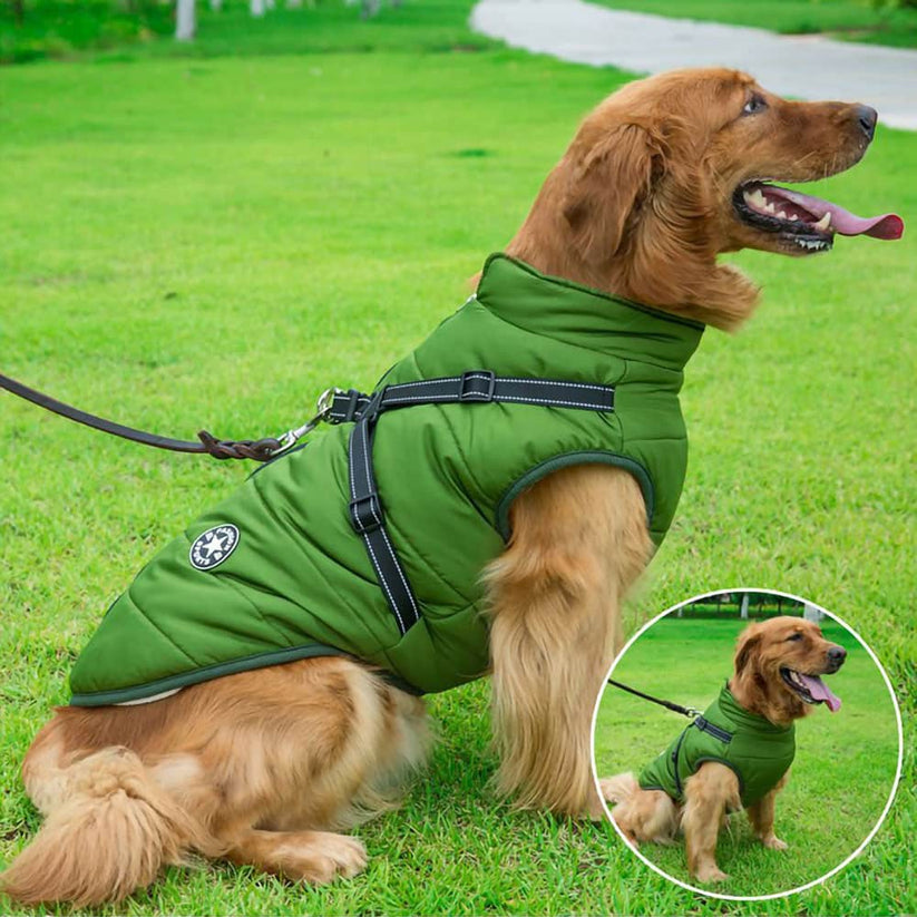 PetsLoveStory® Dog Winter Jacket With Harness - PetsLoveStory®