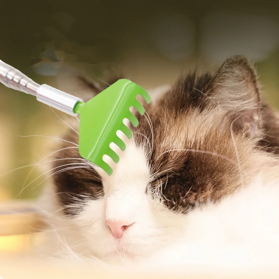 Handled Scratcher for cats - PP12 - PetsLoveStory®