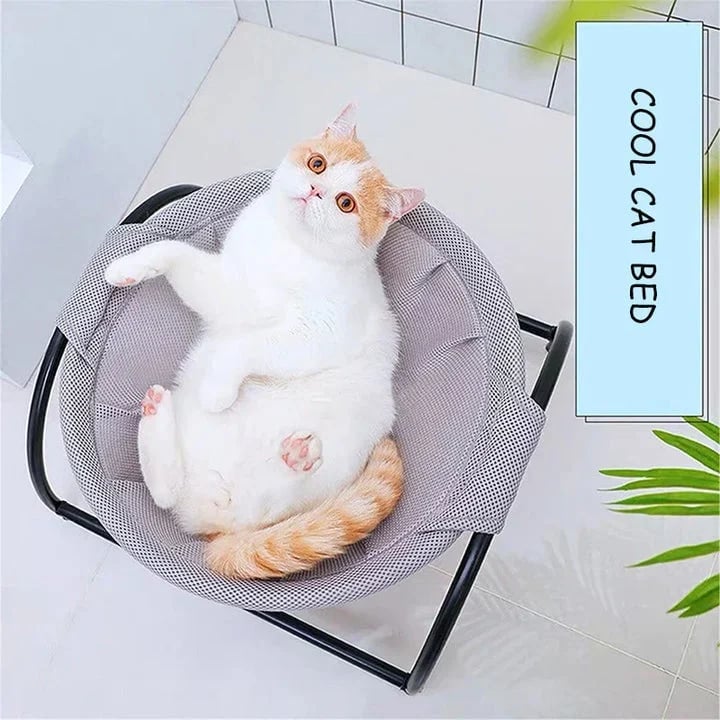 Floor Cat Hammock-With Stand - PetsLoveStory®