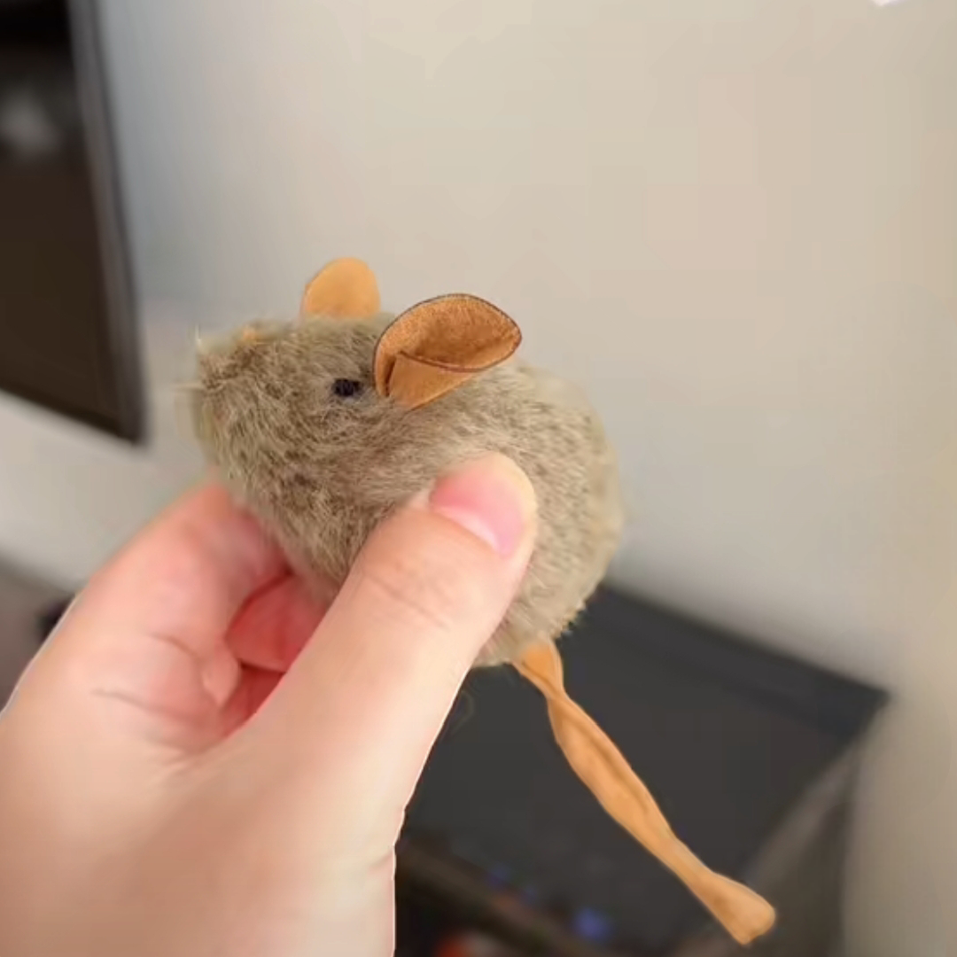 Cat mouse toy - PetsLoveStory®