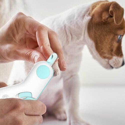 🎁Hot Sale🎁LED Pet Nail Clippers - PetsLoveStory®