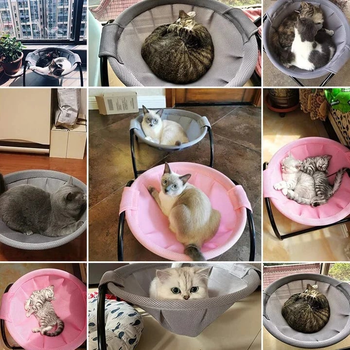 Floor Cat Hammock-With Stand - PetsLoveStory®