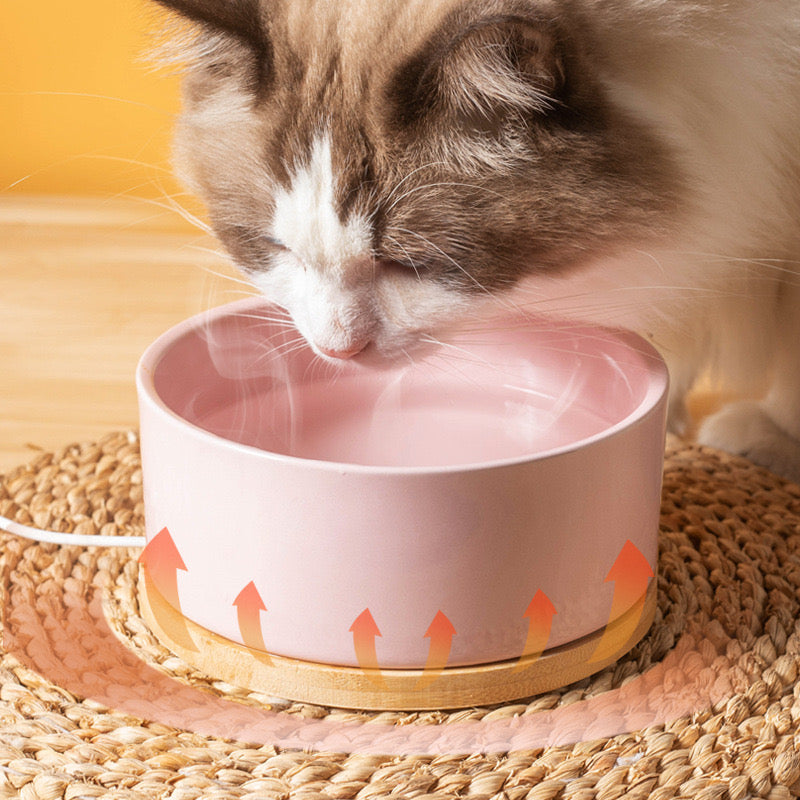 Self-Heating Thermal Pet Water Bowl - PetsLoveStory®