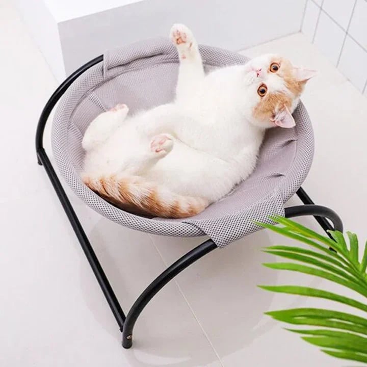 Floor Cat Hammock-With Stand - PetsLoveStory®