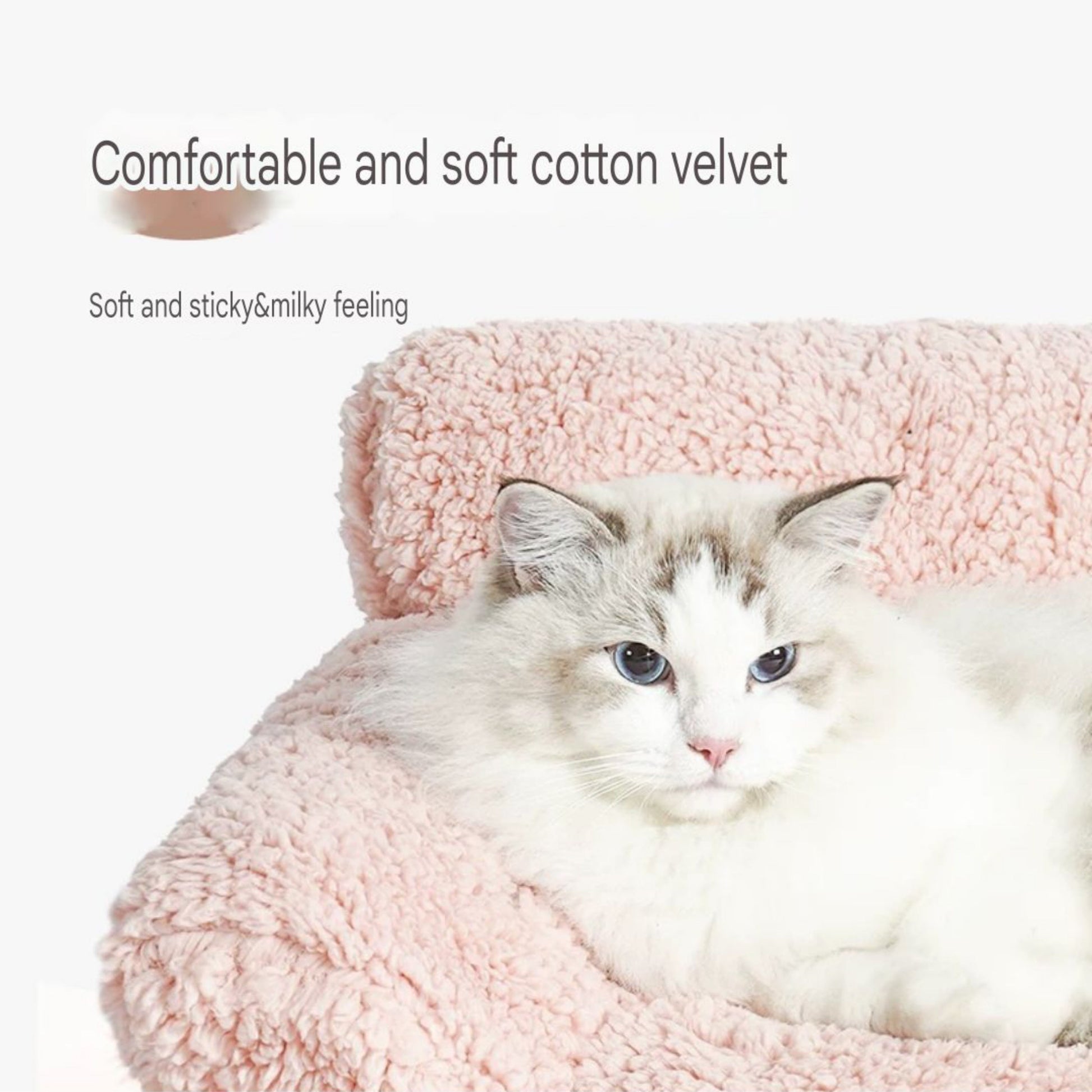 Stylish and Cozy Sofa Bed - PetsLoveStory®