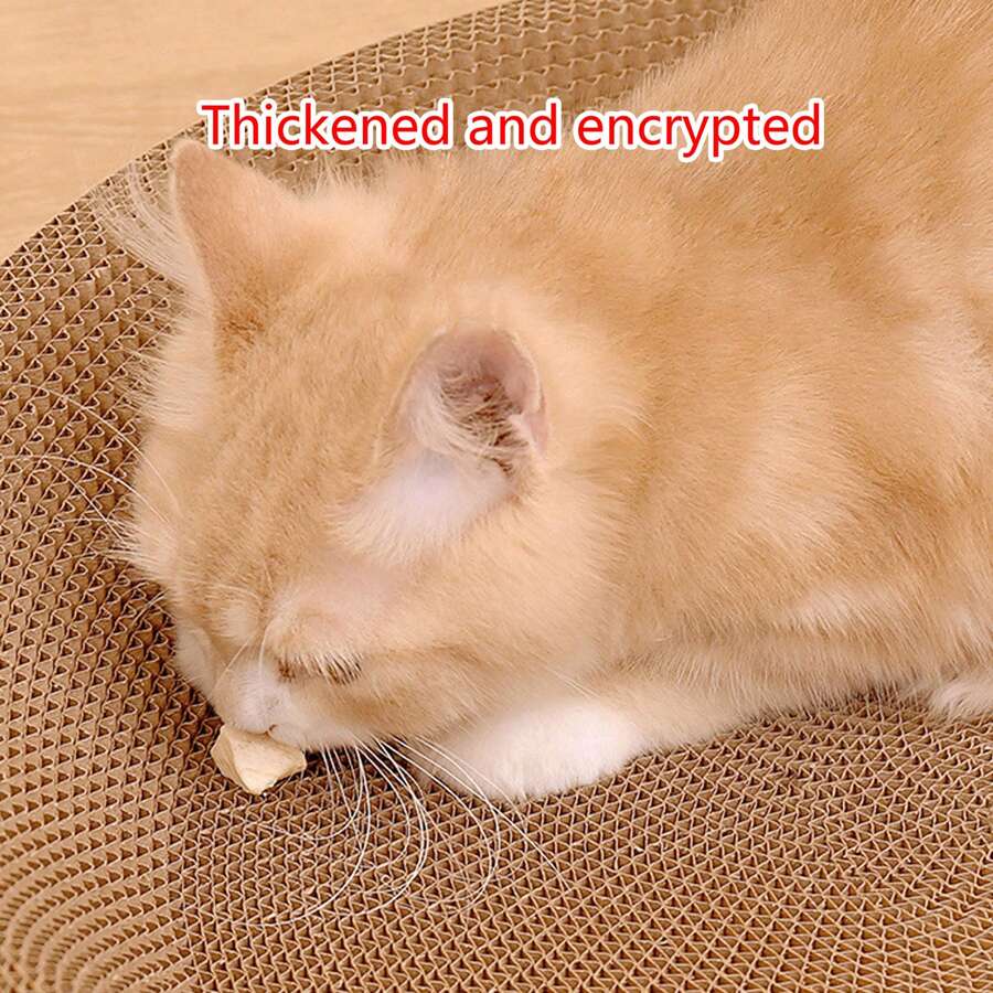 Cat scratching and sleeping bed - PetsLoveStory®