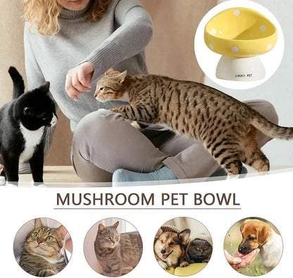Cat Bowls Raised Cat Food Bowls - PetsLoveStory®
