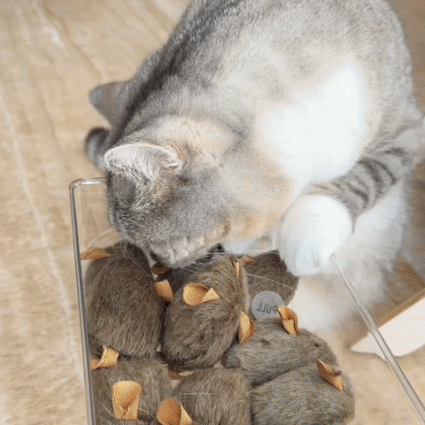 Cat mouse toy - PetsLoveStory®