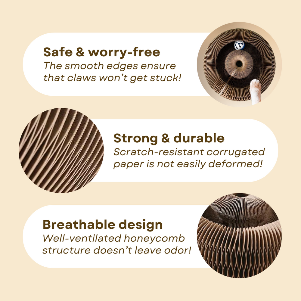 Cat Ball Toy - PetsLoveStory®