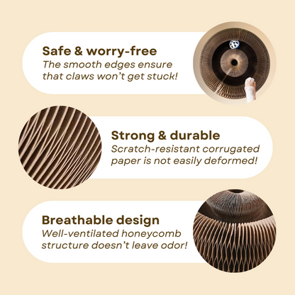 Cat Ball Toy - PetsLoveStory®