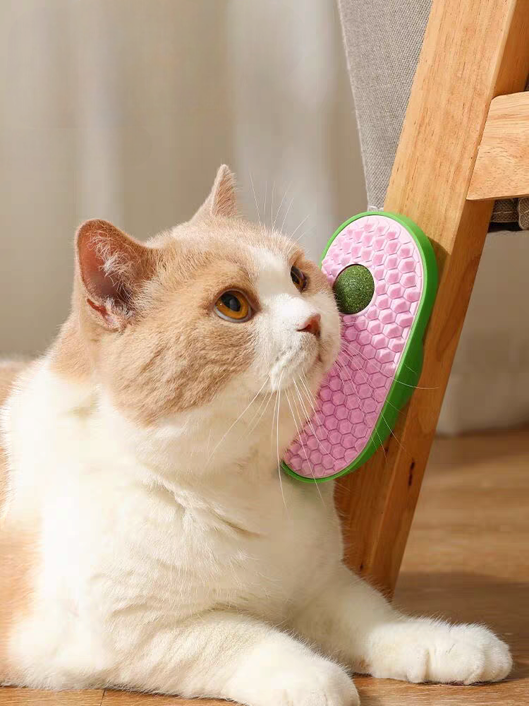 Scratcher with a mint ball - PetsLoveStory®