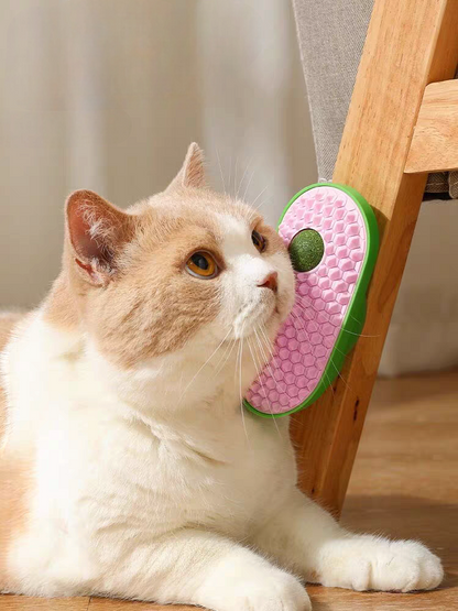 Scratcher with a mint ball - PetsLoveStory®