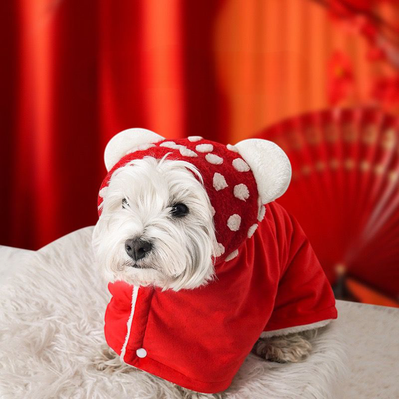 Pet Cape Blanket - PetsLoveStory®