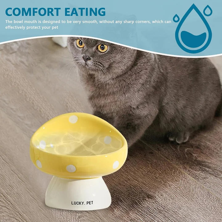 Cat Bowls Raised Cat Food Bowls - PetsLoveStory®