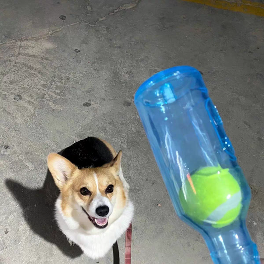 bottle toy for big dogs and small puppies - PetsLoveStory®