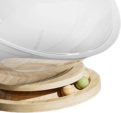 Space Capsule Cat Bed Transparnt Cat House - PetsLoveStory®