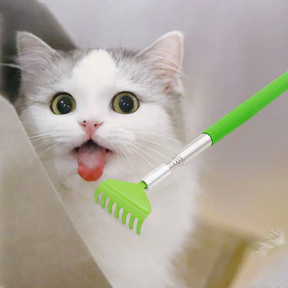 Handled Scratcher for cats - PP12 - PetsLoveStory®