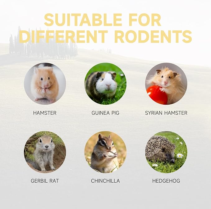 Hamster Toys Motorcycle - PetsLoveStory®