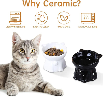 2pcs Ceramic Elevated Cat Bowls for Indoor Cats - PetsLoveStory®