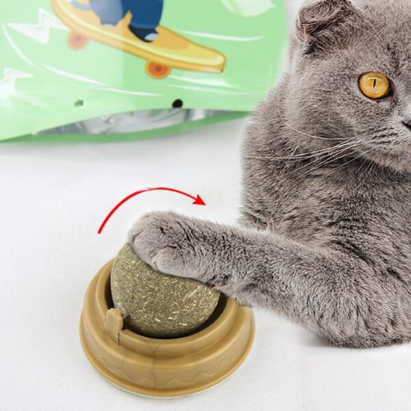 Catnip licking Ball For Cats - PetsLoveStory®