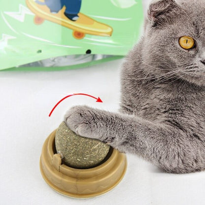 Catnip licking Ball For Cats - PetsLoveStory®