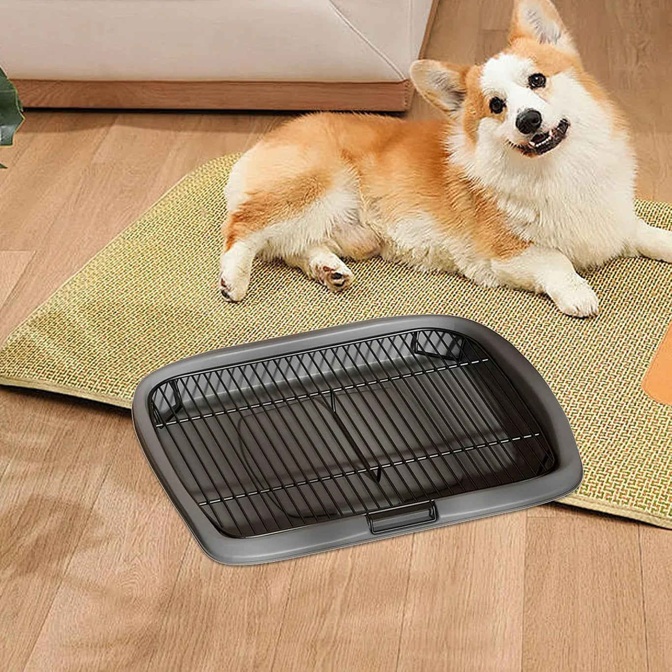 Pet Dog Toilet Pet Supplies Keep Paws Floors Clean - PetsLoveStory®