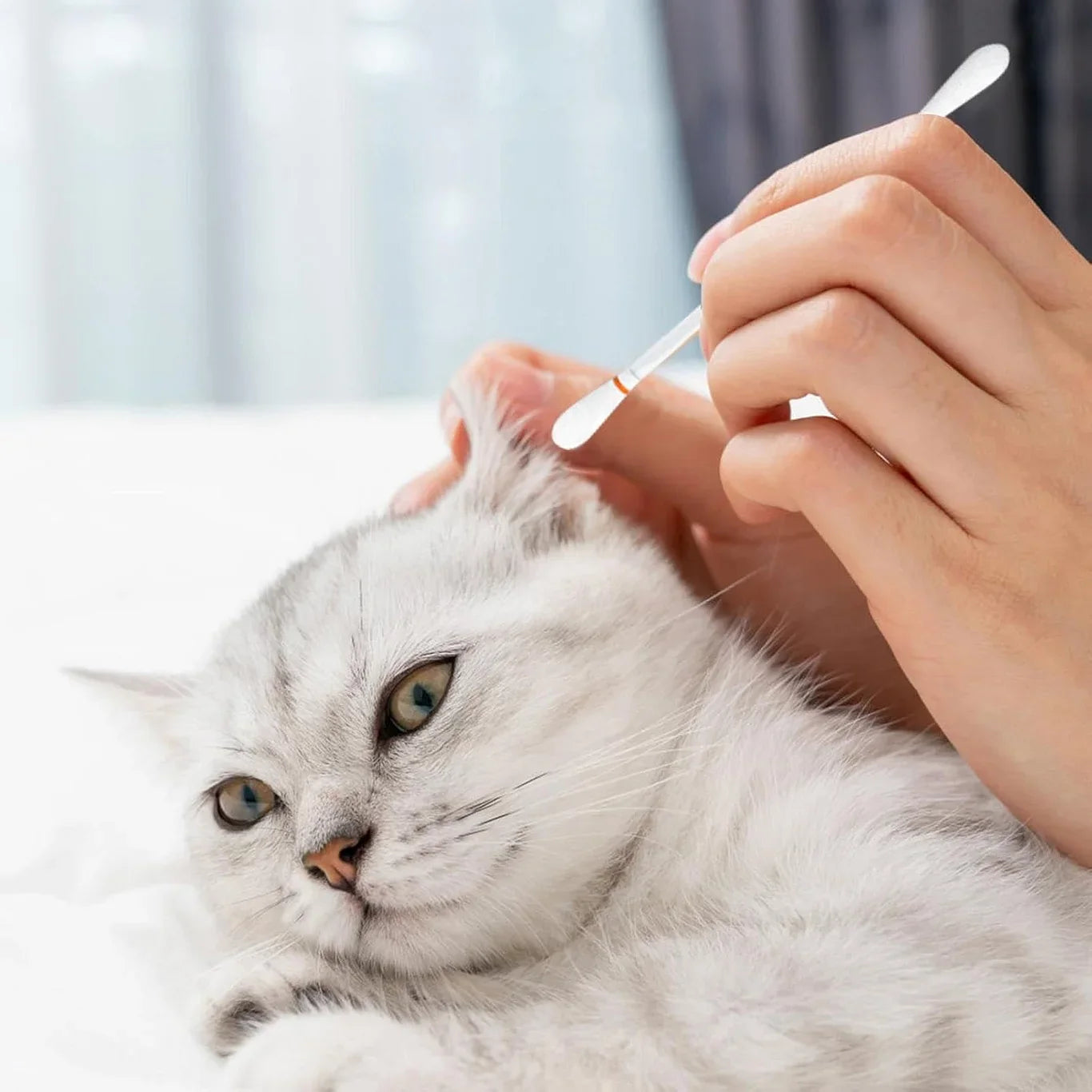 Multipurpose Ear Cleaning Cotton Swabs - 50PCS - PetsLoveStory®