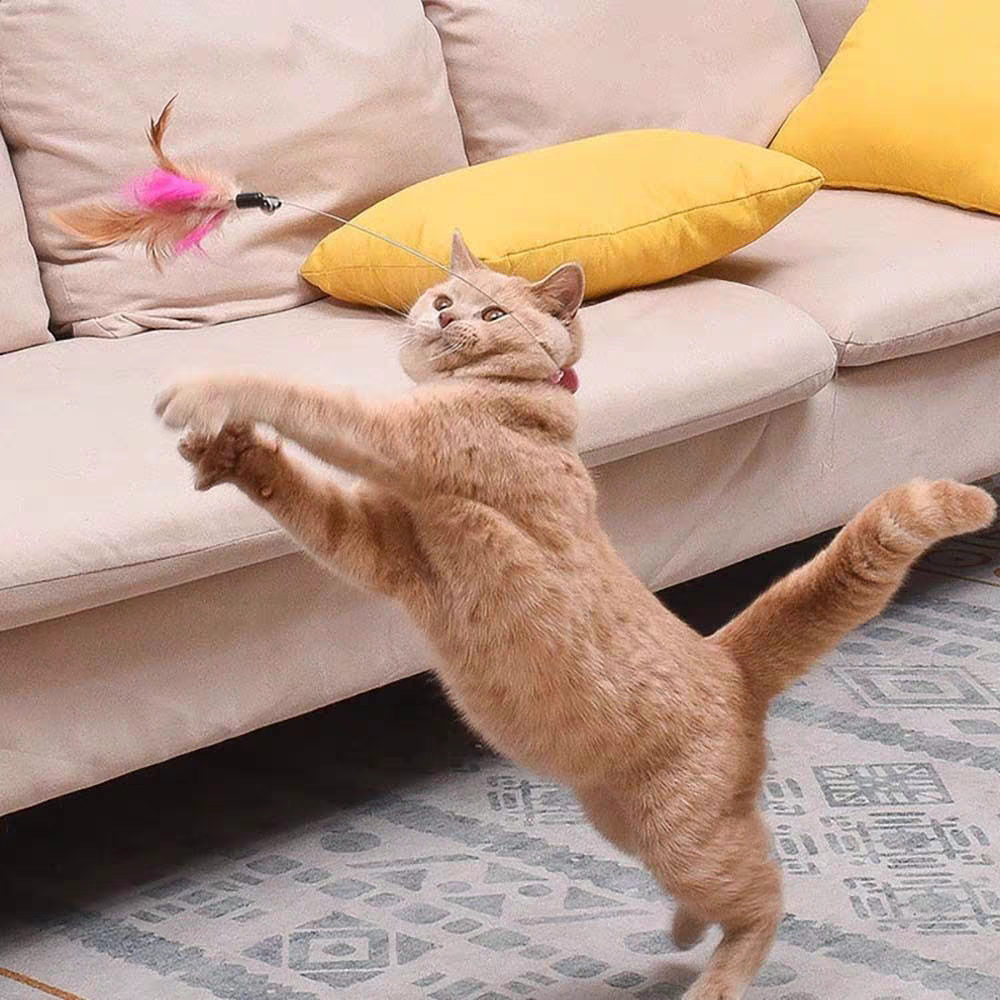 Cat Toys Feather Collar Self-healing - PetsLoveStory®