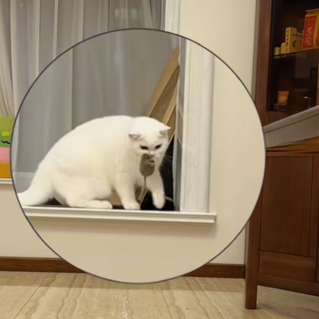 Cat mouse toy - PetsLoveStory®