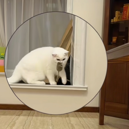 Cat mouse toy - PetsLoveStory®