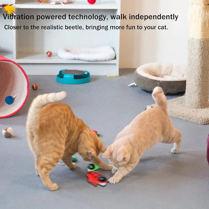 Electronic Cat Toy Cat Interactive Toys for Indoor - PetsLoveStory®