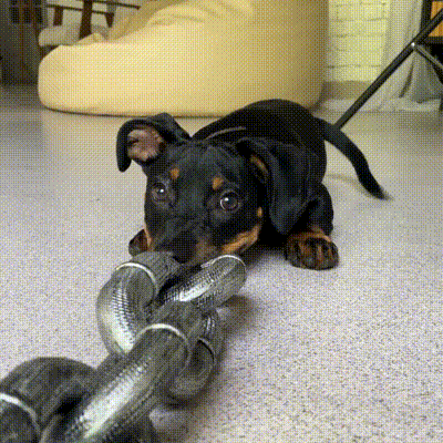 Simulated Chain Traction Rope - PetsLoveStory®