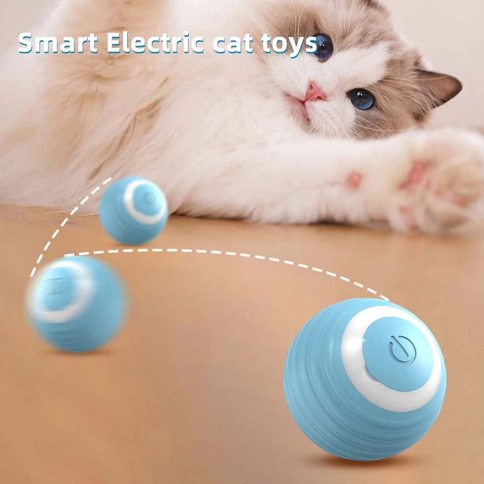 Cat Interactive Ball - PP38 - PetsLoveStory®