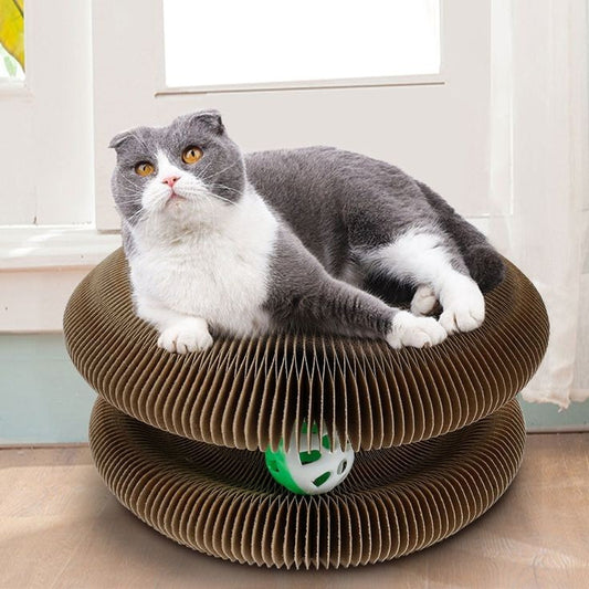 Cat Ball Toy - PetsLoveStory®