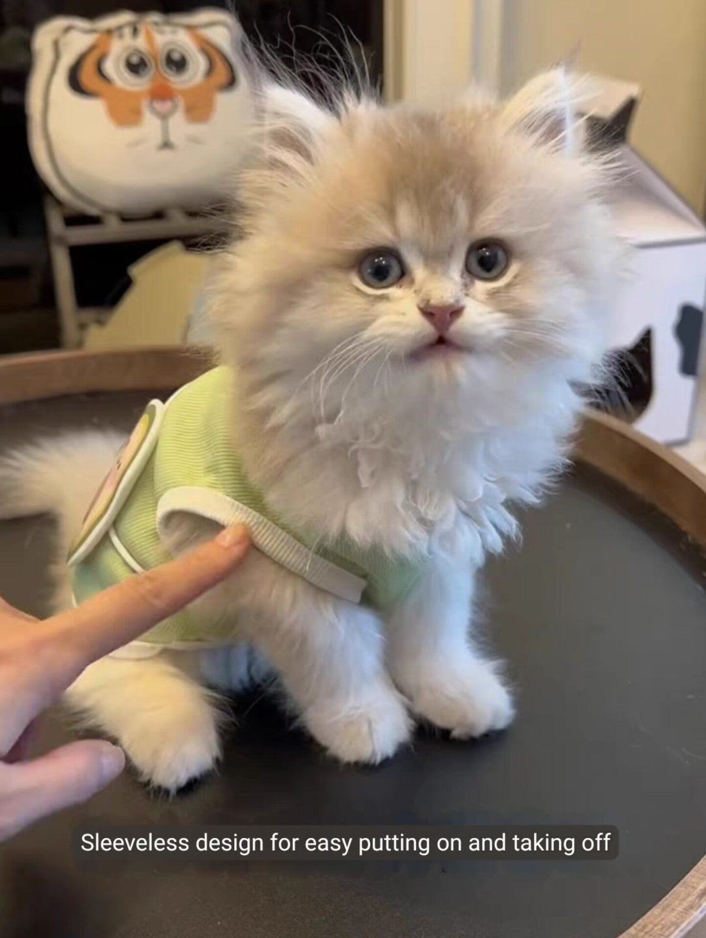 Avocado Summer Cool Vest - PetsLoveStory®