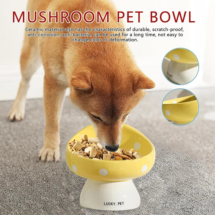 Cat Bowls Raised Cat Food Bowls - PetsLoveStory®