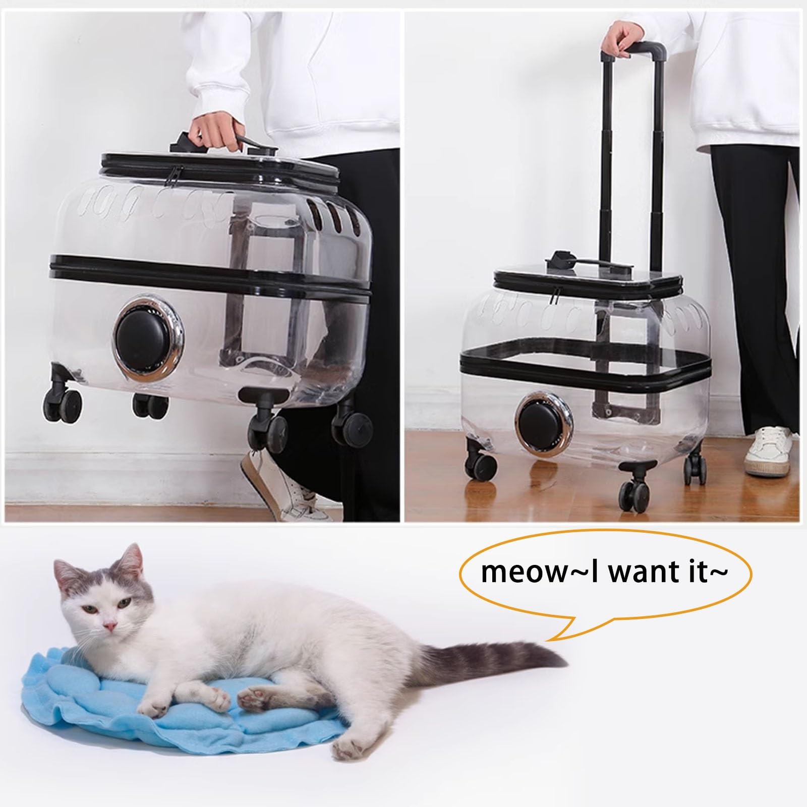 PetsLoveStory® Transparent Pet Travel Trolley - PetsLoveStory®