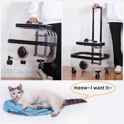 PetsLoveStory® Transparent Pet Travel Trolley - PetsLoveStory®