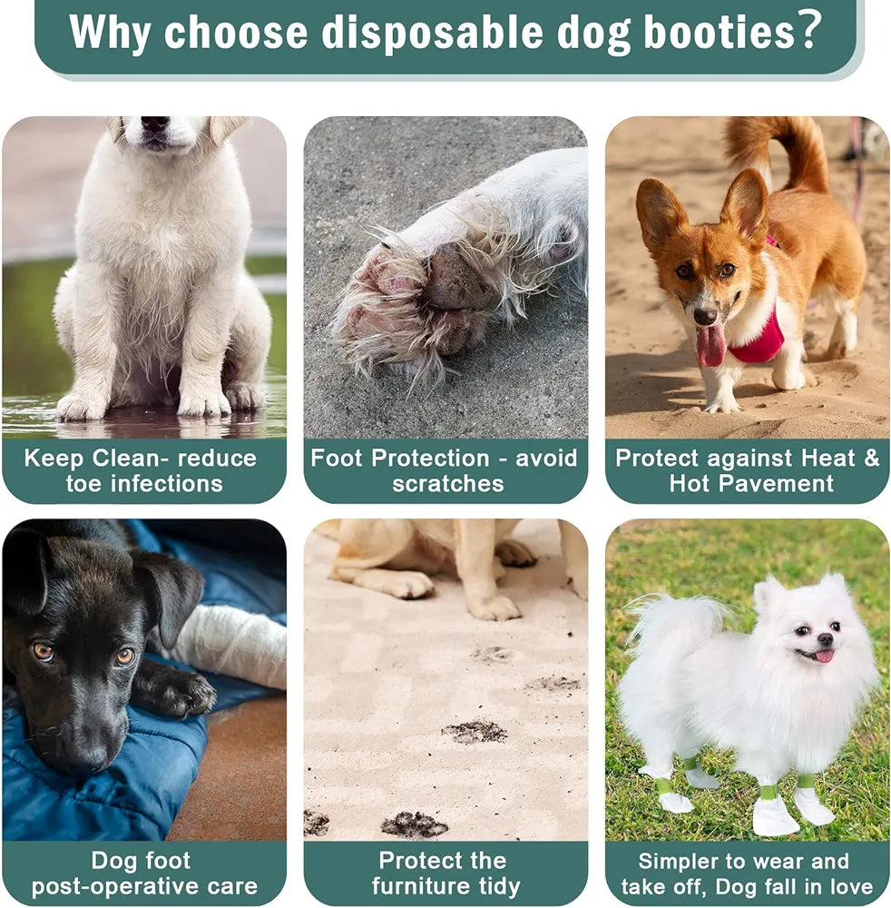 Disposable Waterproof Dog Booties for Paw Protection - PetsLoveStory®