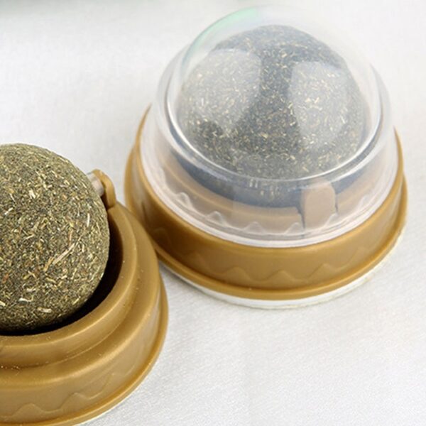 Catnip licking Ball For Cats - PetsLoveStory®