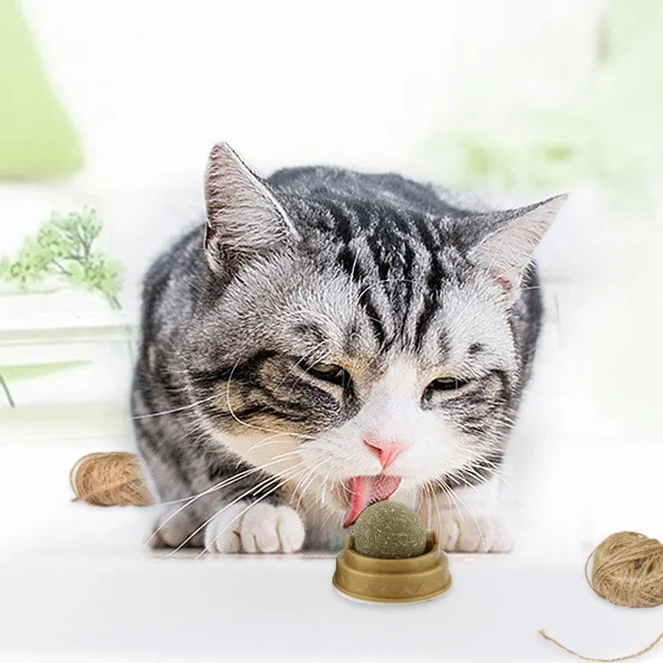 Catnip licking Ball For Cats - PetsLoveStory®