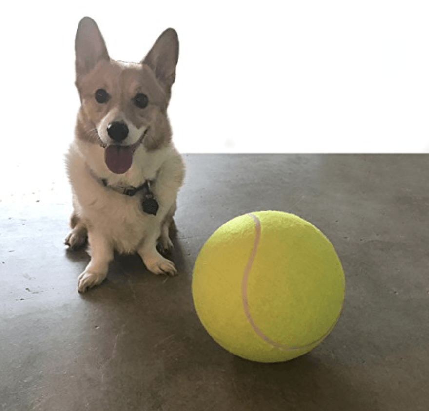 Giant Tennis Ball Toy for Pets 9.5" (24cm) - PetsLoveStory®